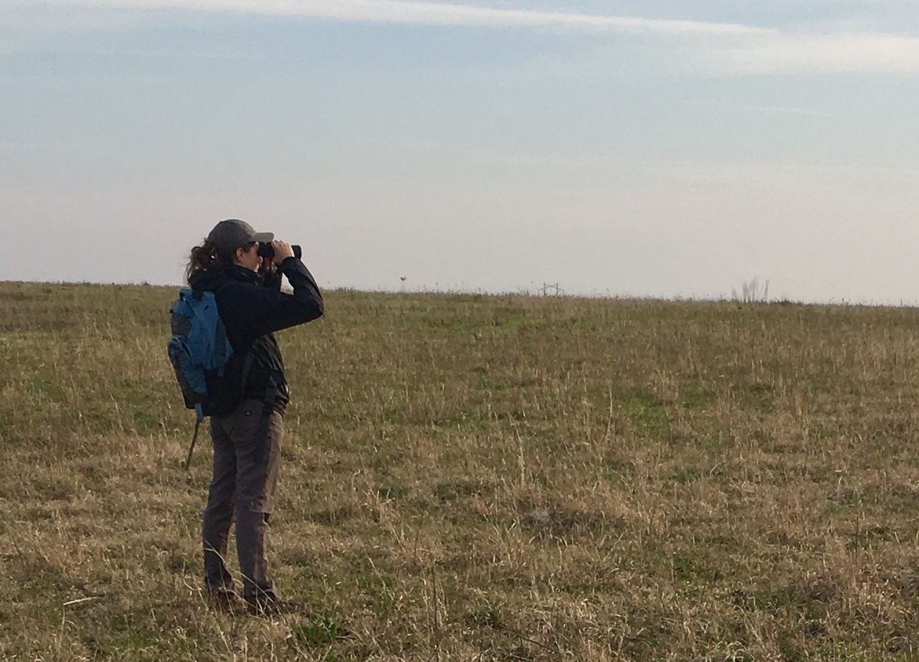 katy_prairie katy_prairie