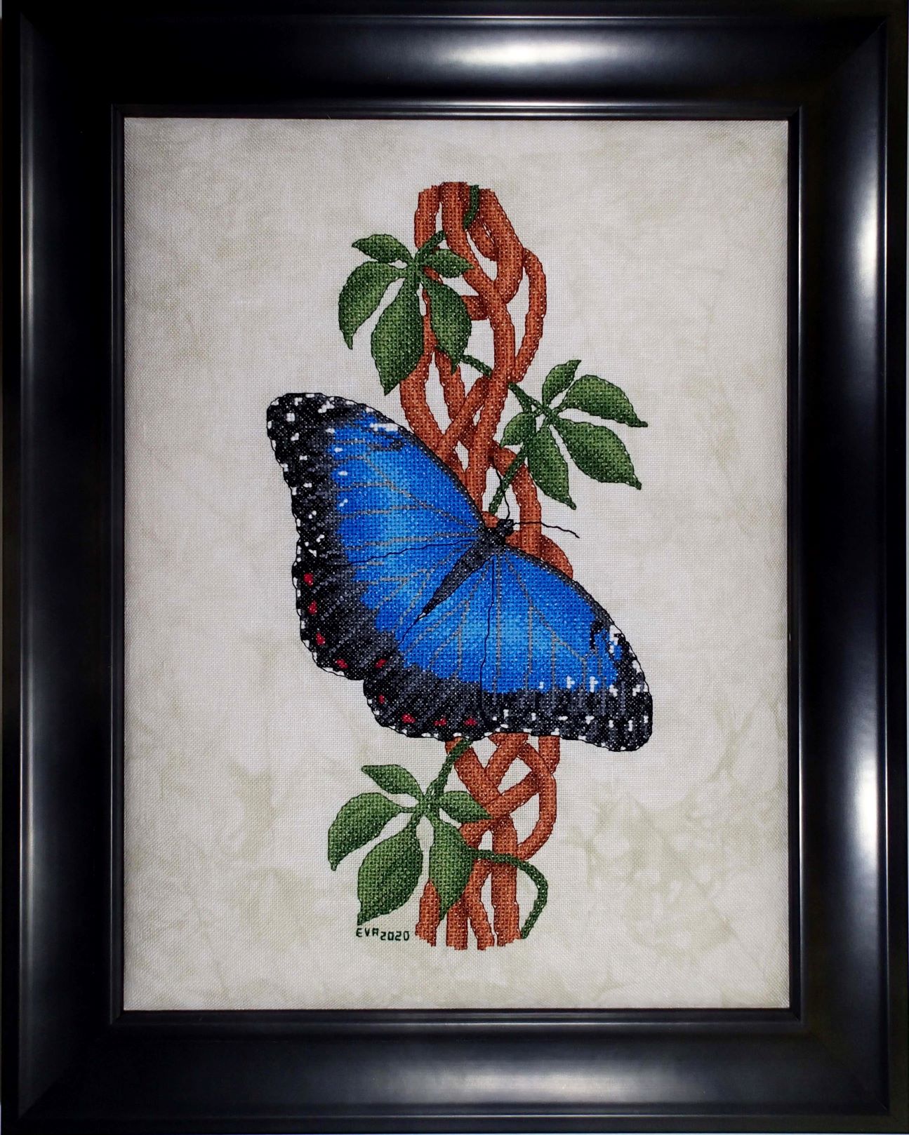 morpho-framed_Horne morpho-framed_Horne